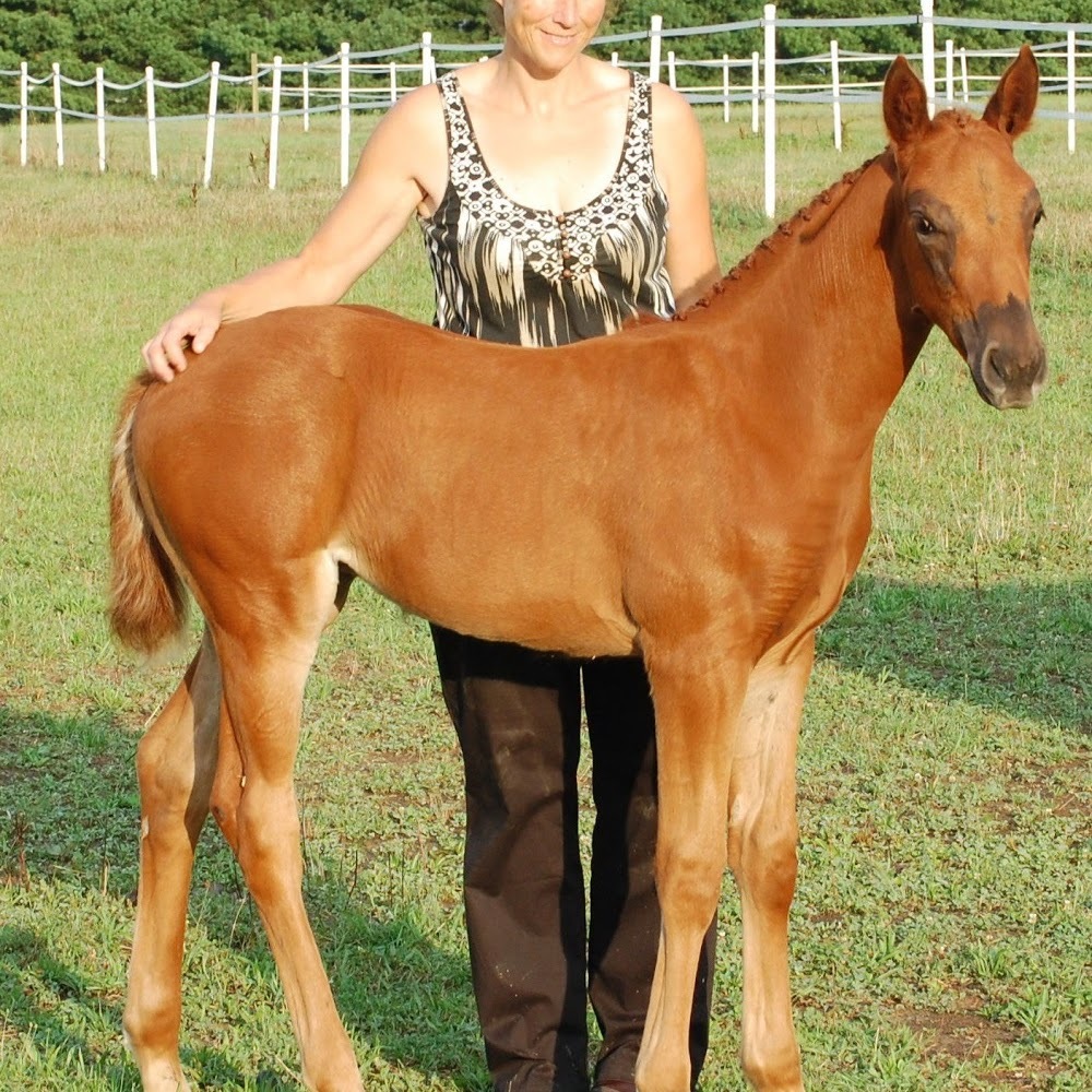 Meet your Posher, Kristina